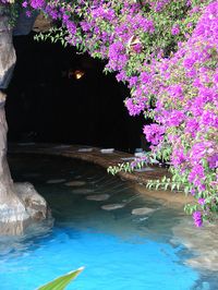 The inside pool bar at The Grand Wailea on Maui, there are booths in there too!