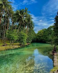 Fissoa, New Ireland, Papua New Guinea. ig: thefireflyoracle