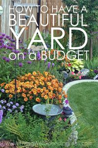 Think having a fancy yard is only for rich people? Think again! While you might not be able to afford a professional landscaper, there's no reason you can't still create an outdoor space you adore, and summer is the perfect time to start! Don't miss these great tips for how to have a beautiful yard on a budget!