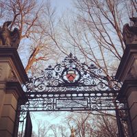 Princeton university