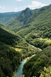 The Tara River Canyon, the deepest canyon in Europe.  CreditSusan Wright for The New York Times  Returning to Montenegro