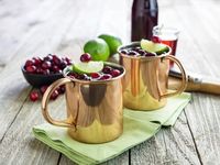 Perfect Thanksgiving Moscow Mule