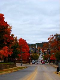 Fall Colors on Fayetteville's hot spot Dickson Street!