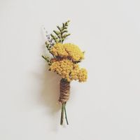 #mustard #flower #yarrow