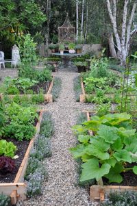 raised beds