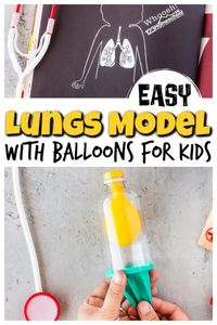 This fun, hands-on lungs for kids lesson will help you make a working lungs model for kids using a plastic bottle and balloon. This human body for kids project is great for kindergarten, first grade, 2nd grade, 3rd grade, 4th grade, 5th grade, 6th garde, and 7th grade students. We will show you how to make a lung model that will help children understand how this important organ works with a human body activity for kids!