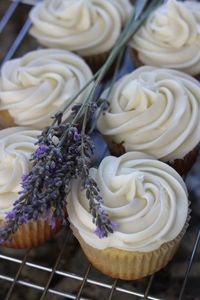 Honey lavender cupcakes with a honey cream cheese frosting