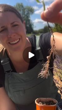 Garden Similar on Instagram: "Propagating lavender is so easy! Once you have one, you’ll never need to buy more again!

This is shared for the purpose of spreading positivity. If the content OWNER (visual/audio) of this post has any issue, dm me and I'll remove the post. 
Credit📸@oursanctuarygarden
#propagation #lavender #gardentips #growsomethinglovely #lavendertips #pnwgardening"