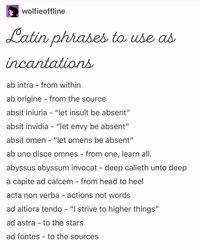 Some Latin to make your life more interesting 😉 This lovely post was made by @wolfieoffline , give them a follow to see more posts like…