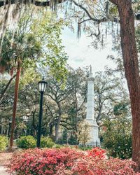 Tall statue standing in a square under trees dripping with Spanish moss and above pink Azalea blooms in Savannah, Georgia