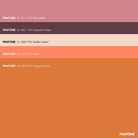 Pantone Color Palette with Dominant Mauve and Melon Orange · Melon Ochre: a guide to warm & saturated Spring Color Palette with Earthy tones. · 2023 Pantone Color Trends · #Beige #Brown #Color #ColorPalette #FHICottonTCX #Mauve #Orange #Pantone #PANTONE12-1009TCXVanillaCream #PANTONE16-1253TCXOrangeOchre #PANTONE16-1442TCXMelon #PANTONE16-1617TCXMauveglow #PANTONE19-1621TCXCatawbaGrape #Spring · #PantoneColors #ColorStory #Aesthetic · @pantonecolor · Kid’s Pattern