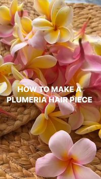 Difficulty: Easy     PLUMERIA Hair Piece  • Plumeria   • Toothpicks   • bobby-pins   • Air tight container