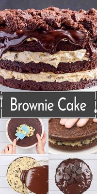 This decadent brownie cake recipe blends three beloved desserts: the rich, fudgy texture of brownies, irresistible chocolate chip cookie dough, and the structure of a cake.