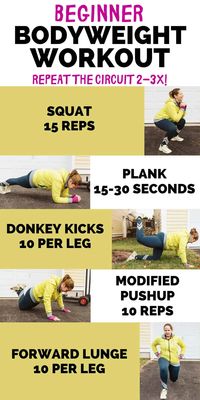 Looking for a beginner bodyweight workout? This beginner circuit workout uses all bodyweight exercises that are ideal for those who are just getting started working out. You’ll love this simple at home workout.