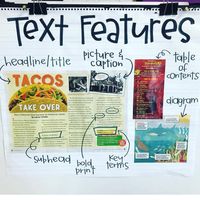 Text features anchor chart