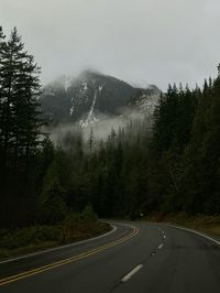 rainy day / twilight / twilight aesthetic / forks / forks washington / washington / washington aesthetic / rain / rain aesthetic / cloudy / fog / nature aesthetic / nature / rosyln / pnw #twilight #pnw #nature