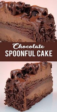 Chocolate Spoonful Cake Recipe - Tasty Foods