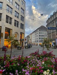 münchen munich european city aesthetic architecture metro tram big city old town germany travel karlsplatz marienplatz