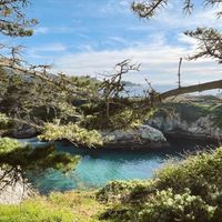 Point Lobos Carmel