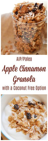 Apple Cinnamon Granola (AIP/Paleo) * Lichen Paleo, Loving AIP