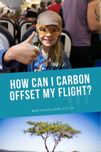 How can I Carbon Offset my flight? - Mini Travellers - Family Travel & Family Holiday Tips