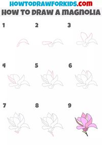 How to Draw a Magnolia - Easy Drawing Tutorial For Kids