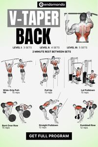 Sculpt a V-Taper back with this targeted workout. Build width and thickness in your back to achieve that iconic V-shape with exercises that deliver. Start your back workout today!