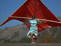 MASH klingers hang glider