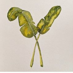 a painting of two green leaves on a white background