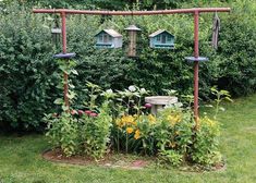 a garden with lots of plants and bird houses