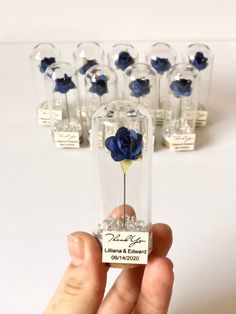 a hand holding a tiny blue rose in a clear glass vase with other small ones behind it