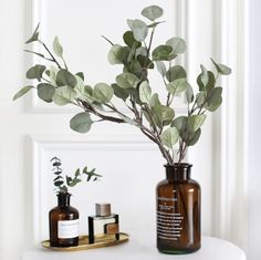 a vase with some plants in it on a table next to other bottles and containers