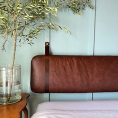 an olive tree in a glass vase next to a bed with white sheets and a brown leather headboard