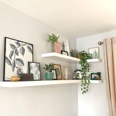 some shelves with plants and pictures on them