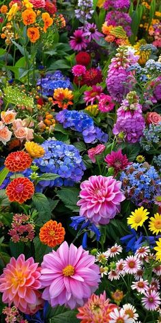 many different colored flowers in a garden