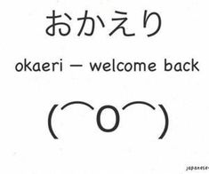 Japanese Lesson, Materi Bahasa Jepang