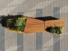 an overhead view of a wooden bench with plants growing in it