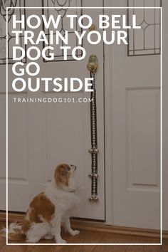 a dog sitting in front of a door with the words how to bell train your dog to go outside