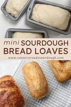 four loafs of bread sitting next to each other on a cooling rack with the words, mini sourdough bread loaves