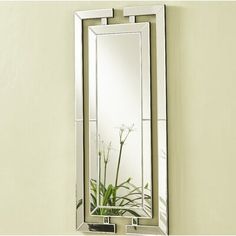 a mirror mounted to the side of a wall with a plant in front of it