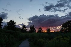 the sun is setting over some trees and bushes in the distance, with a trail running through it