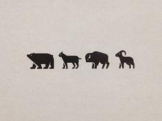 three animals are standing next to each other in the same line on a white background