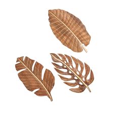 three wooden leaves on a white background