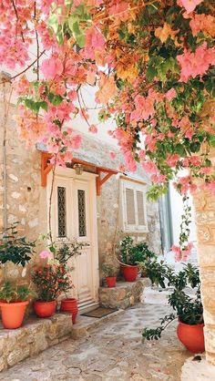 pink flowers are growing on the outside of a house