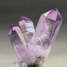 High quality super aesthetic Vera Cruz Amethyst spray with incredibly impressive colour, lustre clarity and structure, from the Royal Purple Pocket mined in 2020, some of the best colour came from this pocket. Stunning Amethyst phantoms and stacked gas bubbles phantoms too, so good. From Piedra Parada, Vera Cruz, Mexico. Weight 7.3 grams Dimensions 33mm X 25mm X 12mm Amethyst Crystal Aesthetic, Amethyst Aesthetic, Crystal Amethyst, Crystal Aesthetic, Vera Cruz, Royal Aesthetic, Amethyst Crystals, Amethyst Geode, Purple Crystal