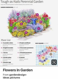 flowers in garden from garden design - ideas pictures and infos to help you plan your own garden