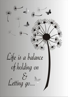 a dandelion with the words life is a balance of holding on and letting go