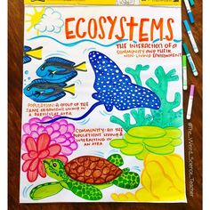 an image of a coloring book with animals and plants on the front cover that says, ecosytems