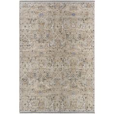 an area rug with many different colors and patterns on the carpet, including beiges