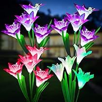 some pink and purple flowers are in a vase on the table outside at night time